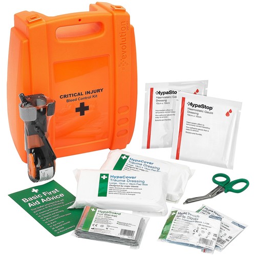 Evolution plus critical - evolution,