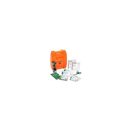Evolution plus critical - evolution,